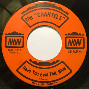 Chantels   shaggy baggy joe bw have you ever felt blue %28picture sleeve%29 %281%29
