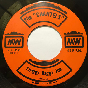 Chantels   shaggy baggy joe bw have you ever felt blue %28picture sleeve%29 %282%29