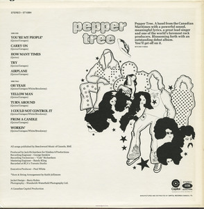 Pepper tree   you're my people back