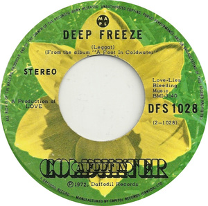 A foot in coldwater deep freeze daffodil b