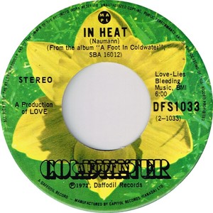 A foot in coldwater in heat daffodil b v