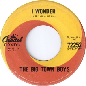 The big town boys i love her so 1965 b