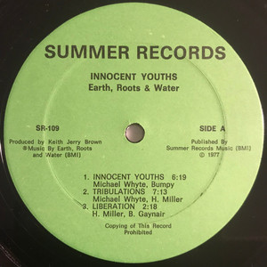 Earth  roots and water   innocent youths %284%29