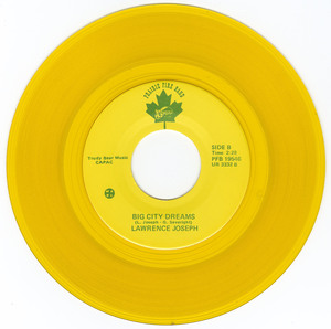 45 lawrence joseph   mcbride vinyl 02