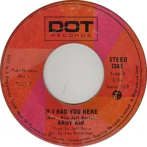 Andy kim if i had you here dot bii