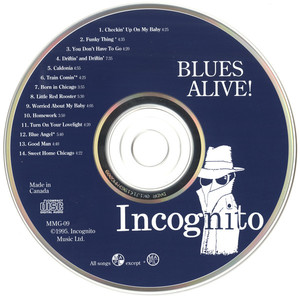 Incognito   blues alive! %281%29