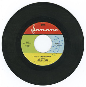 45 les selects   le pantin de bois vinyl 02