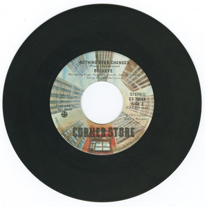 45 buckeye   nothing ever changes vinyl 01