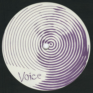 Voice   anno di voce label 02