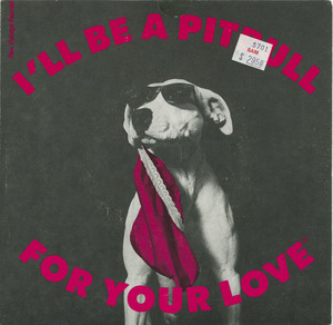 George randall   i'll be a pit bull for your love front
