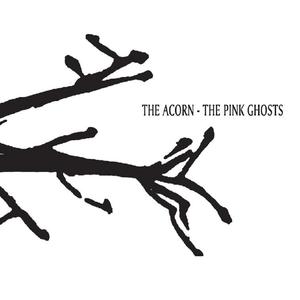 Theacorn thepinkghosts 1000 1024x1024