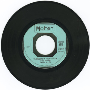 45 barry allen   wednesday in your garden vinyl 01