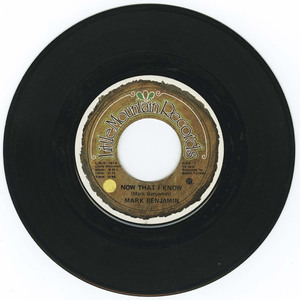 45 mark benjamin now that i know vinyl 01