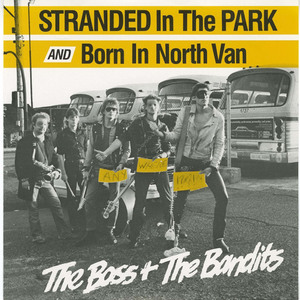 45 boss   the bandits   stranded in the park front