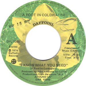 A foot in coldwater i know what you need 1975 a ix