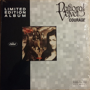 National velvet %e2%80%93 courage