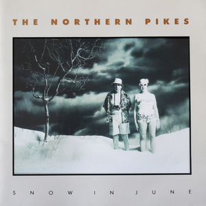 1990 snow in june