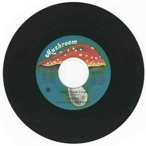 45 spring   i wish i could forget bw strut mcgurk vinyl 01
