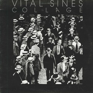 Vital sines collage