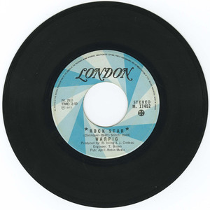 45 warpig rock star vinyl 01