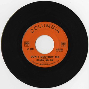 45 sandy selsie dont destroy me