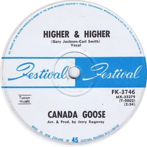 Canada goose higher and higher festival