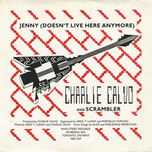 45 charlie calvo just how it hurts me pic sleeve front