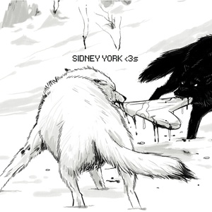 3s album cover