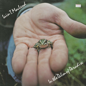 Iain t. macleod   in the palm of paradise front