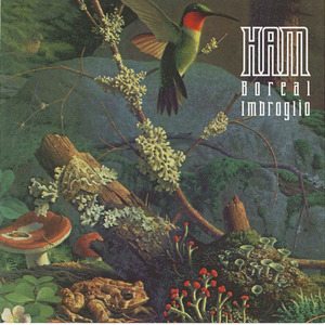 Cd ham   boreal imbroglio front
