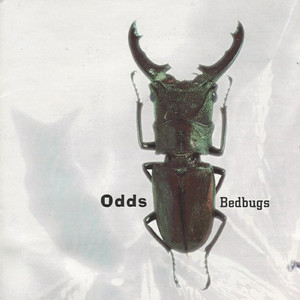 Odds   bedbugs %2811%29