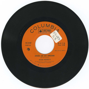 45 diane merritt angel of my dreams vinyl 01