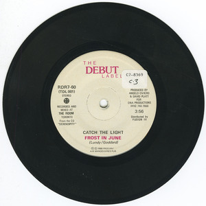 45 frost in june   catch the light vinyl 01