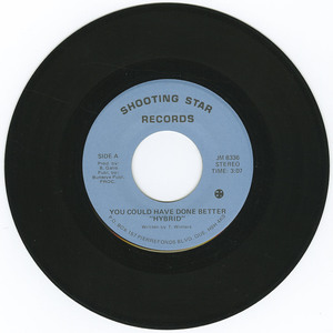 45 hybrid   you could have done better vinyl 01