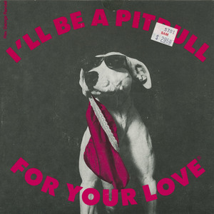 George randall   i'll be a pit bull for your love front