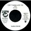 I Don't Wanna Love You b/w Take That
