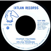 Changin' Feathers b/w Letter from a Border Town