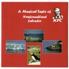 KFC: A Musical Taste of Newfoundland Labrador