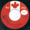 He Belongs To Yesterday b/w Don't You Make A Fool Of Me
