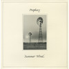 Summer Wind