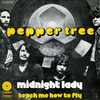 Midnight Lady b/w Teach Me How to Fly