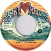Try a Little Love Sometime b/w Take Me Through the Twilight
