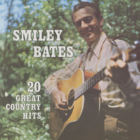 20 Great Country Hits