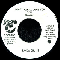 I Don't Wanna Love You b/w Take That