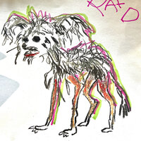 A Weird Little Dog
