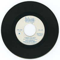 I Want You Boy b/w Summer Fun