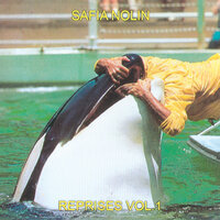 Reprises Vol 1