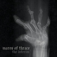 The Interim