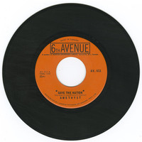 Save The Nation b/w In Divine Order