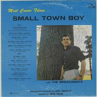 Small Town Boy